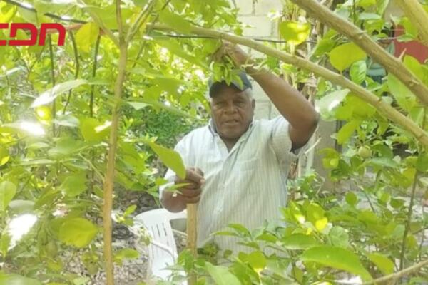Agricultores de Neyba se quejan por abandono de proyectos de reforestación y preservación de fincas
