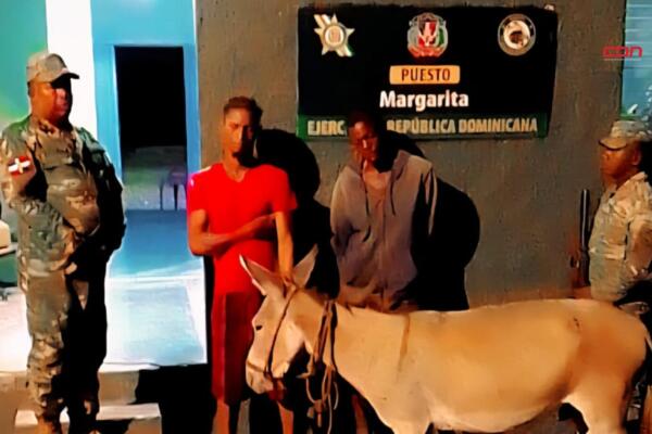 El asno quedó en custodia del alcalde pedáneo del paraje Margarita. Foto: Fuente externa 