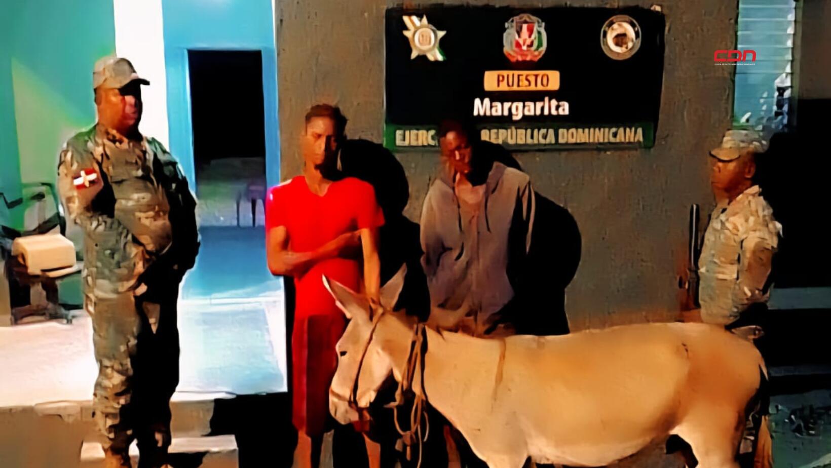burro