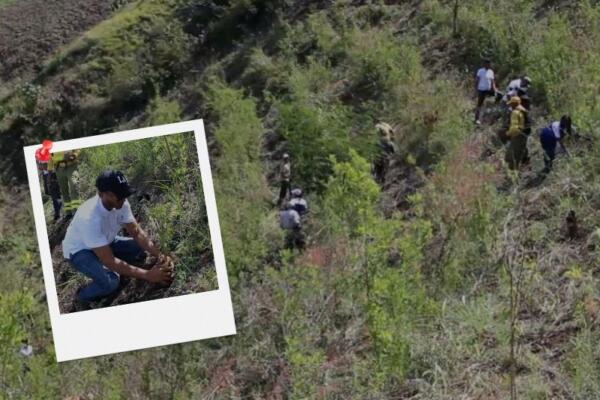 Realizan jornada de reforestación en cuenca del río San Juan.