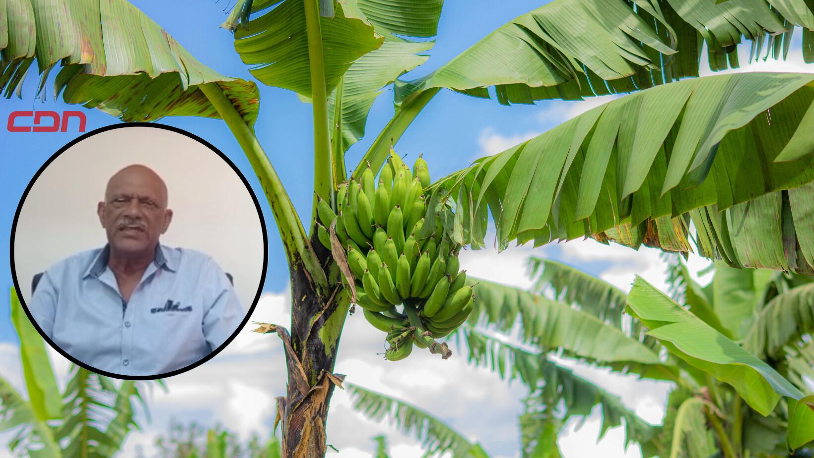Presidente de Adobanano aclara manejo de permisos laborales para trabajadores extranjeros