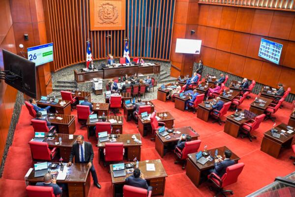 Senado aprueba en única lectura proyecto de Ley Orgánica del Tribunal Superior Electoral.