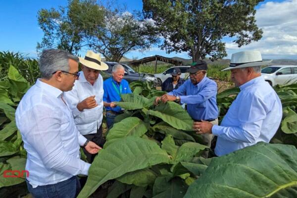 El tabaco es el segundo producto más exportado del país luego de los insumos médicos.