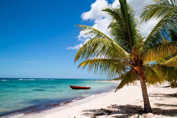 Canto de la Playa (en la foto) está en Isla Saona