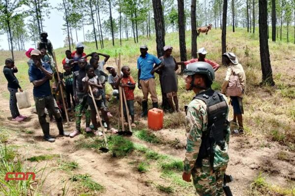 Detienen haitianos indocumentados por depredación ambiental en Dajabón.