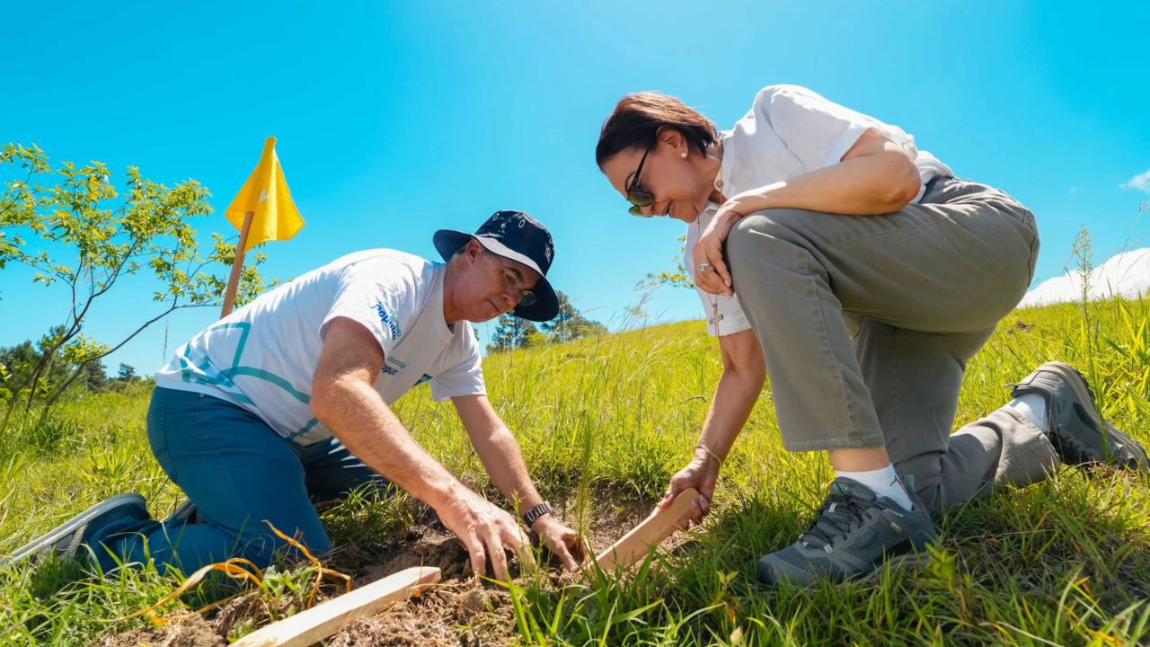Voluntarios de Grupo Popular siembran 5,000 árboles en Plan Sierra