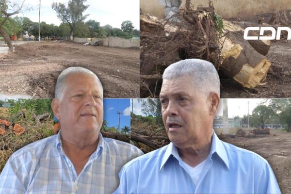Alrededor de 300 árboles fueron talados en el Centro Olímpico debido a trabajos para albergar los Juegos Centroamericanos 2026. Foto: CDN Digital