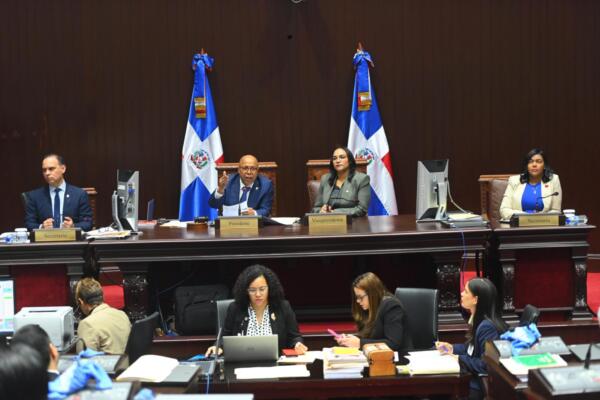 Código Penal vuelve al Senado por dos artículos faltantes, ¿cuáles son