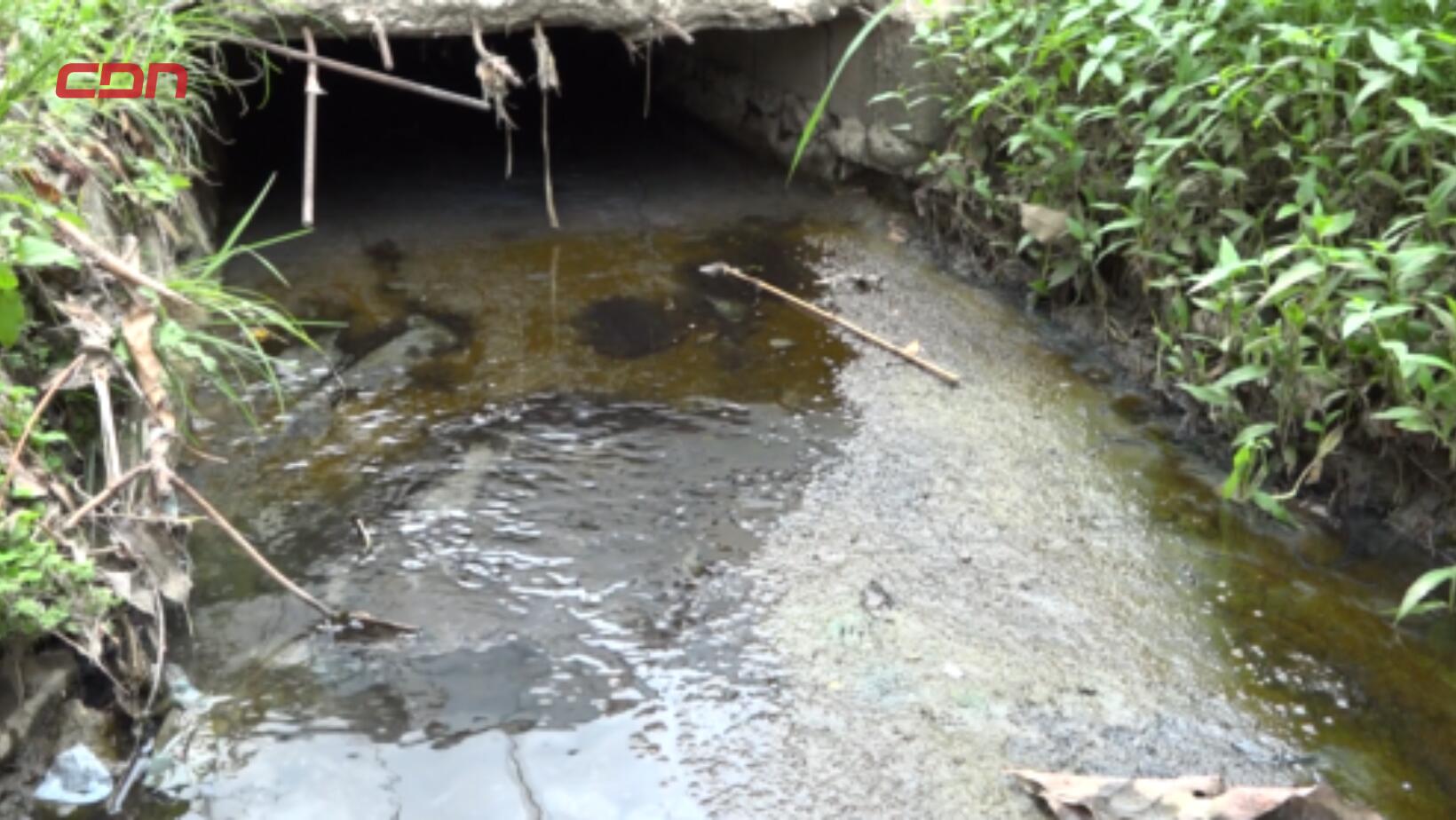 Desborde de aguas negras amenaza salud de familias