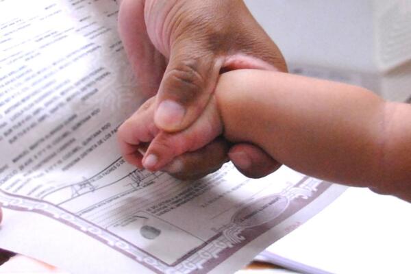  El informe revela que, en 20 años, solo se registraron cuatro nacimientos. Foto: Fuente externa 