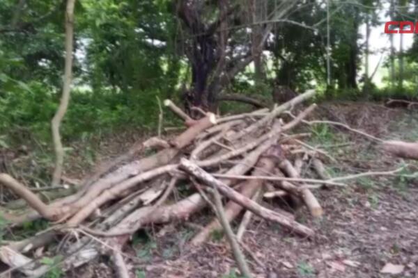 Las autoridades ambientales también investigan una posible construcción ilegal en el área.