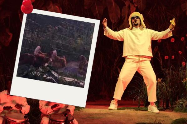 PETA denuncia que Bad Bunny sube gallinas a escenario de residencia musical en Puerto Rico