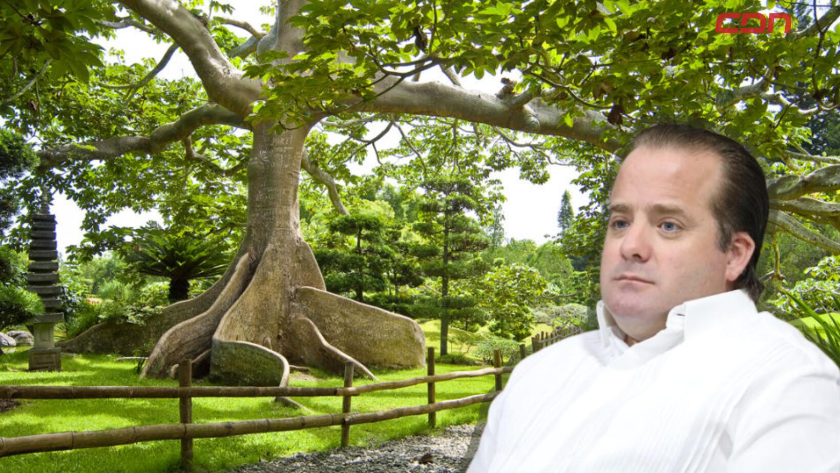 Partes del Jardín Botánico están a nombre de terceros, revela Paliza