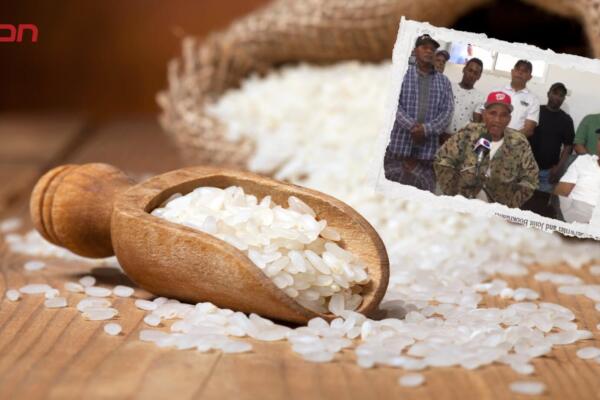 Montecristi es una de las principales zonas arroceras de la República Dominicana