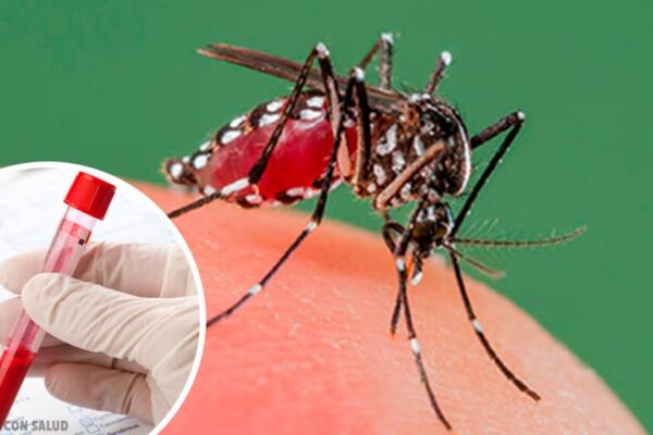 RD reduce más de 85 % los casos de dengue en comparación con 2024, según Salud Pública