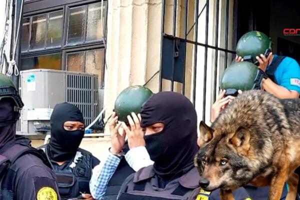 Entre las diez personas físicas y seis empresas acusadas de pagar y recibir sobornos para suplir seguridad privada a instituciones públicas. Foto: Fuente externa 