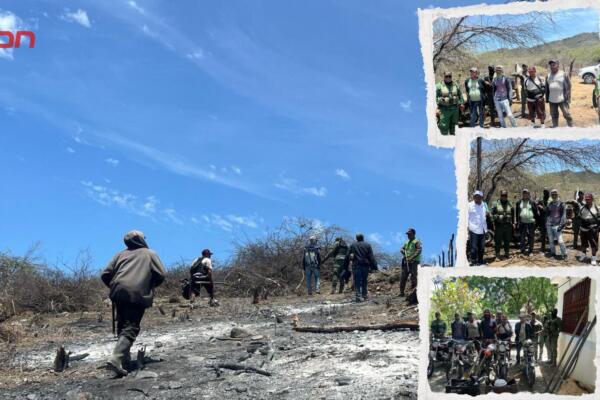 Detienen a seis personas por desmonte ilegal en reserva forestal de Peravia.
