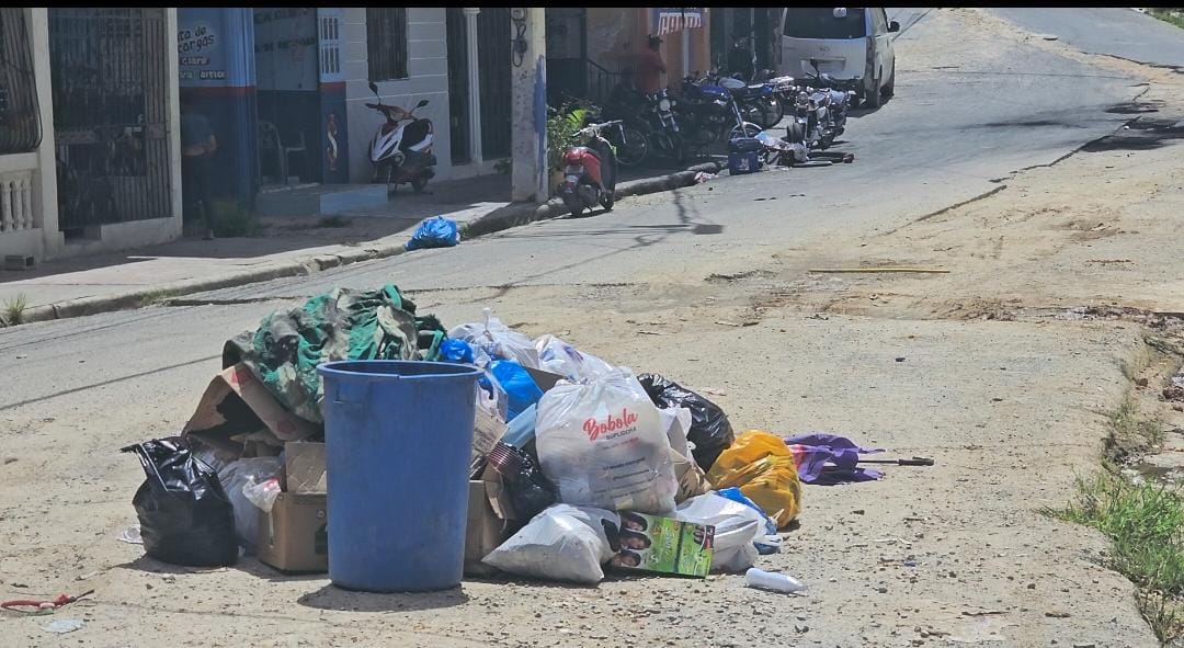 Abandono en recogida de desechos