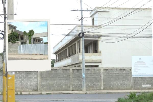 Escuela Liceo Espejo Jamaica de Barrio Nuevo, Caballona en estado de abandono. Foto: CDN Digital