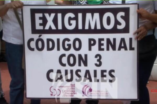 Rosalba Diaz directora ejecutiva de Colesdom aseguró que el artículo 173 de la pieza especialmente el párrafo 2 debería ser revisado.  Foto: Fuente externa 