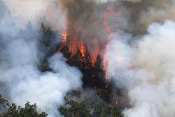 A picture taken on August 25, 2025 shows trees burning during a wildfire in Garano, near Leon, northwestern Spain. The northwestern regions of Galicia and Castile and Leon, along with Extremadura in the west, have been hit hardest by the fires raging since early August in the scorching heat. More than 403,000 hectares (996,000 acres) have been burnt in Spain this year, according to the European Forest Fire Information System. (Photo by Cesar MANSO / AFP)