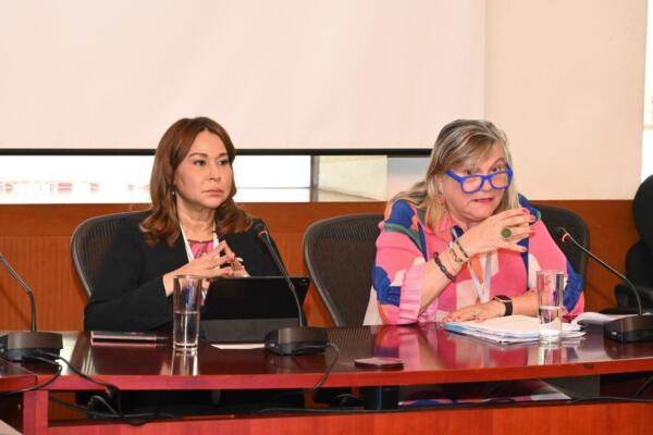 Mayra Jimenez, Ministra de la Mujer; María Noel, Directorra Regional ONU Mujer
Foto: fuente externa