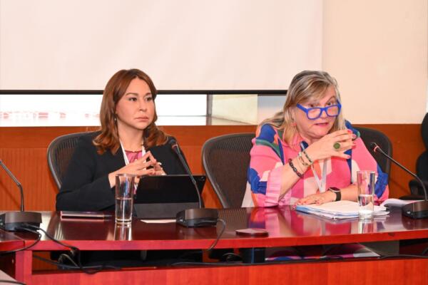 En el marco de la XVI Conferencia Regional sobre la Mujer de América Latina y el Caribe, que se realiza en México del 12 al 15 de agosto, el Ministerio de la Mujer realizó el panel: “Mujeres en la ciencia, la tecnología y la innovación: clave para el empoderamiento económico y la igualdad en América Latina y el Caribe”. Foto: fuente externa