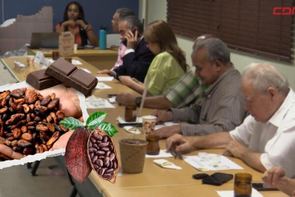 Nace Adochoco durante la quinta edición del Festival del Chocolate Dominicano.