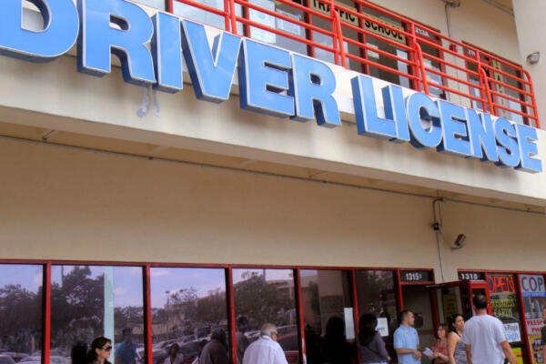 Migrantes con TPS realizan trámites de licencia de conducir en Florida