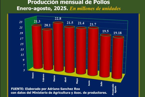 Foto: Fuente externa 