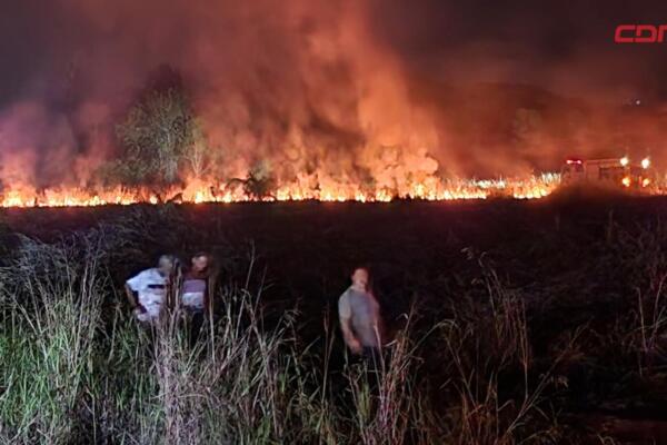 No se reportan pérdidas humanas ni materiales.