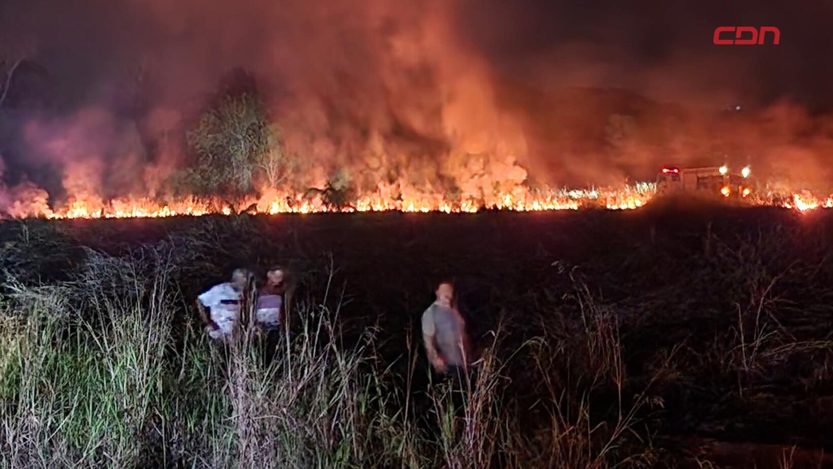 incendio forestal