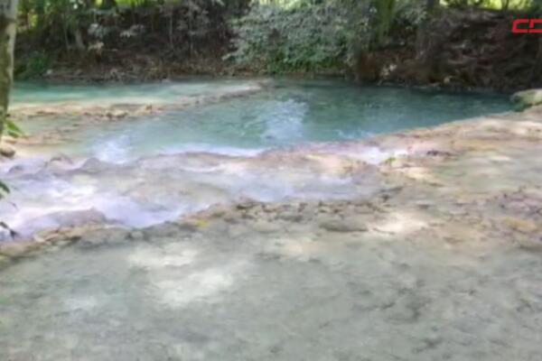Café y ríos: el nuevo rostro del ecoturismo en la zona alta de Puerto Plata.