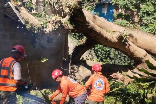 Ventarrón y granizada afectan a Imbert: 22 viviendas impactadas y rápida respuesta de las autoridades. Foto: fuente externa 