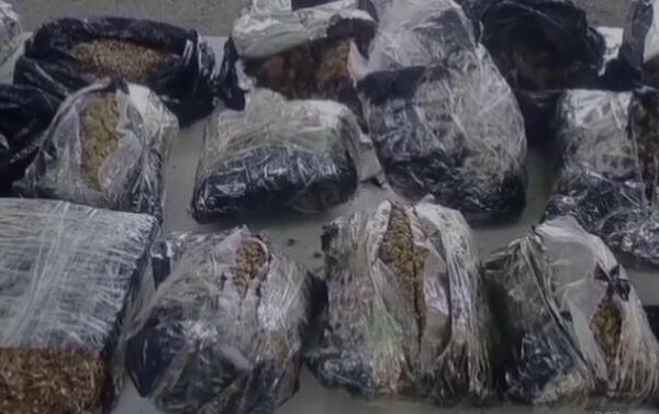 Durante los operativos las autoridades encontraron numerosas fundas negras con presunta marihuana, dinero en efectivo, balanza, entre otros / Foto: CDN