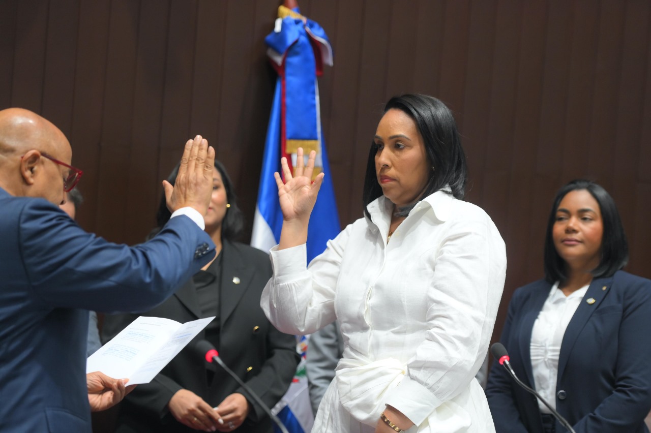 Diputado