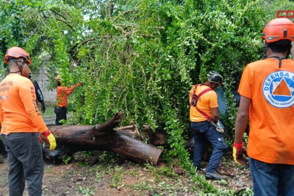 Hasta el momento en Barahona no se han reportado  incidentes  significativos.