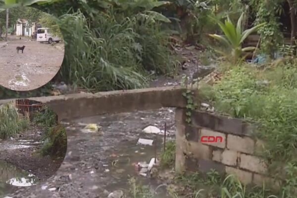 Viviendas en Los Solares de SDN también afectados por las lluvias