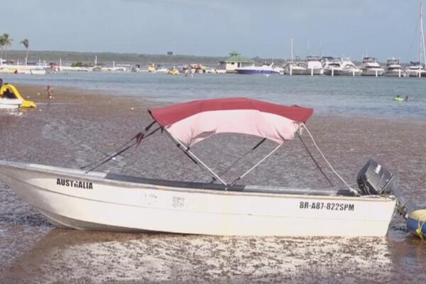 Continúan las quejas por presencia de sargazo en playa de Boca Chica
