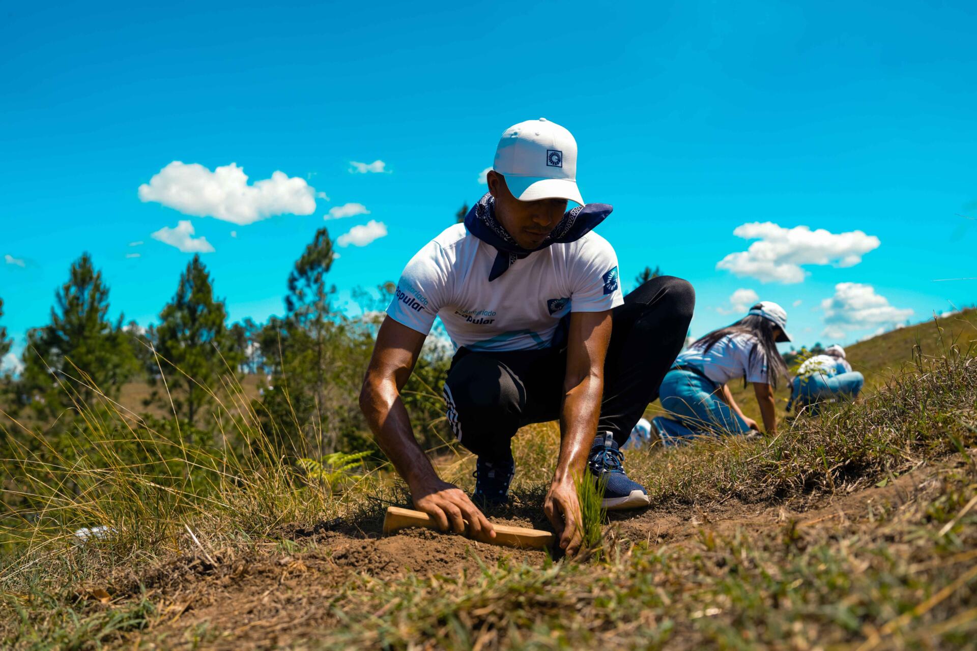 Colaboradores de Grupo Popular realizan jornada de reforestación en Plan Sierra