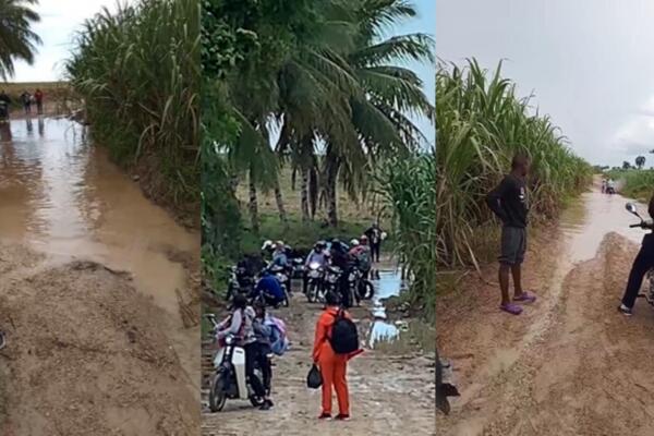 Los residentes aseguran que esta problemática no afecta únicamente a la Escuela Cañada del Agua, sino también a otros centros educativos de la zona.