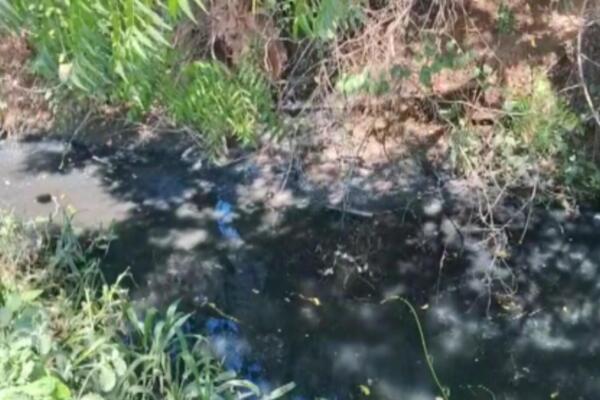 La sanción otorgada al propietario de la pocilga vence el 25 de septiembre.
