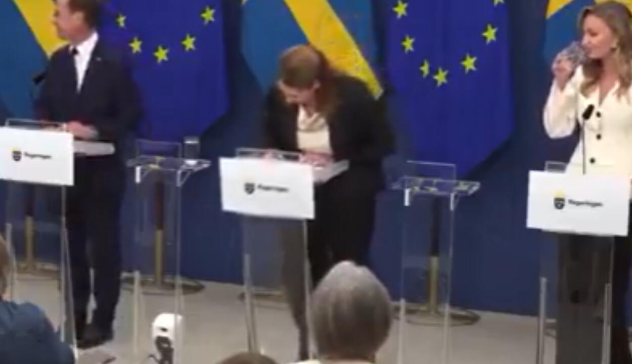 “Bajón de azúcar”: ministra de Salud Pública de Suecia sufre desmayo en plena conferencia de prensa