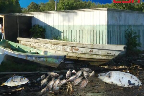 Pescadores atribuyen muertes de peces en el río Soco a químicos de empresas azucarera . Foto: CDN Digital