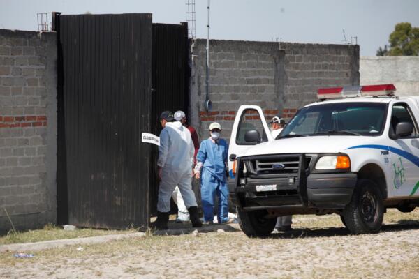 Peritos forenses laboran en el lugar donde fue encontrado un cuerpo sin vida, en Campeche, México. Imagen de archivo. EFE/Francisco Guasco