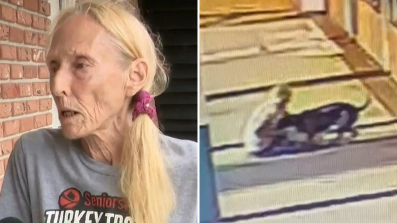 Video viral muestra a anciana mordiendo a un pitbull para salvar a su mascota