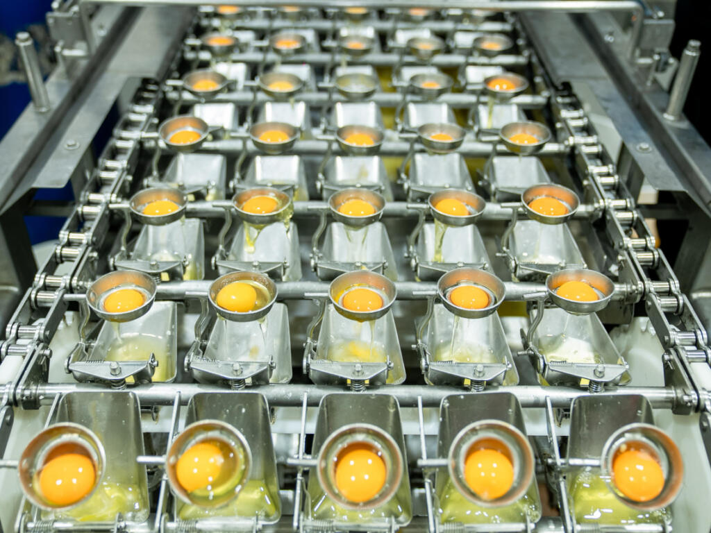 Proceso de pasteurización del huevo líquido en fábrica dominicana