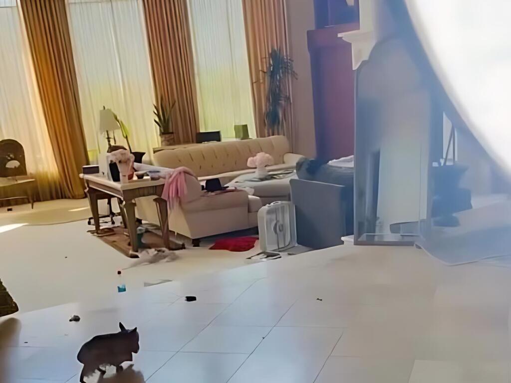 Se podía ver desorden en la espaciosa sala de estar detrás de ella, y hacia el final del clip, un adorable cachorro se pavoneaba detrás de Britney en el fondo.