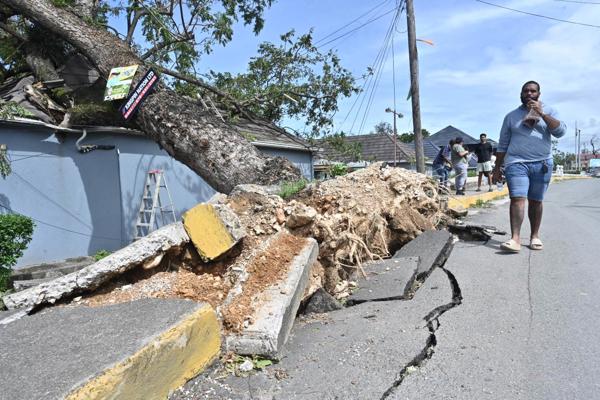Una persona camina frente a un árbol caído debido al paso del huracán Melissa este miércoles, en la Parroquia de Saint Ann en el condado de Middlesex (Jamaica). EFE/ Rudolph Brown