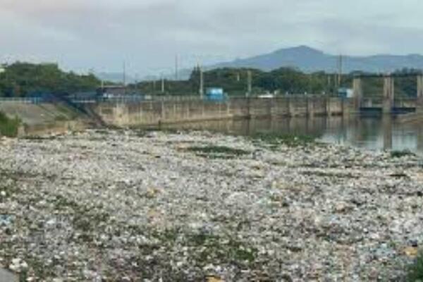 Ambientalistas piden conciencia ciudadana / Foto: externa